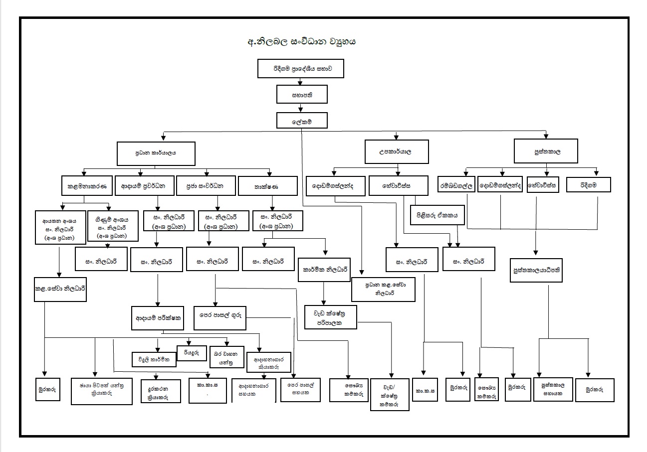 Organizational Structure Chart